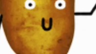 H...  MUJU, DZIKIE WEZE 