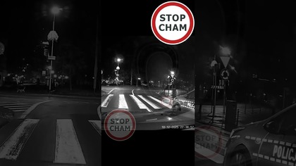 Policja szuka jelenia na 1500 zł i 15 pkt.  ?! #stopcham #szczecin #policja #prawojazdy #naukajazdy