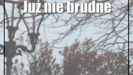 Już nie brudne kule.  Nowe lampy mają przynieść oszczędności
