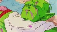 DragonBall Z Abridged: odcinek 25 - TeamFourStar (TFS) Lektor Pl