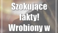 Szokujące fakty! Wrobiony w nieswoją aferę
