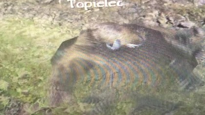 Topielec nak**wia BREAKDANCEa | #kronikimyrtany #gothic2 #topielec
