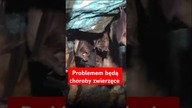 Jak uniknąć kolejnych pandemii?