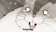 Isekai Quartet Sezon 2 odcinek 10 Napisy PL