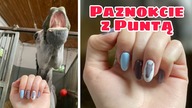 NAMALOWAŁAM GŁOWĘ PUNTY NA MOIM PAZNOKCIU! *tutorial*
