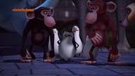 Pingwiny z Madagaskaru - SE02E58 Niebezpieczna Gra - Uliczny Kolega