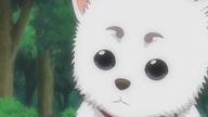 Gintama [#72] PL