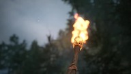 Zakończenie z Wyzwoleńcami | #41 | The Blood of Dawnwalker