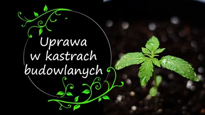 Koszulki - https://zielonyumysl.cupsell.pl/ 
Strona z moimi książkami i zeszytami do kupienia: https://www.amazon.pl/s?istripbooks&rhp_27%3ARafa%C5%82+Szyrsze%C5%84&refdp_byline_sr_book_1
https://www.facebook.com/umyslzielony strona Facebookowa
https://www.facebook.com/groups/600609010277711/  - grupa pszczołowate
https://www.facebook.com/groups/1390889764265438/ - grupa Ekologiczne rolnictwo