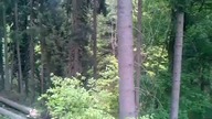 Drwal - taki mały fail