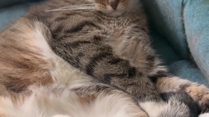 LEPIEJ BYĆ NIE MOŻE 