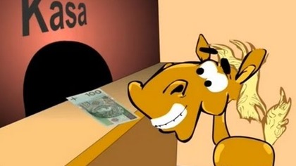 KOŃ RAFAŁ (HD) - Końskie zaloty, Wróżka, Manikjur