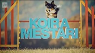 Nigdy nie wystawiaj głodnego psa do takich zawod&oacute;w 