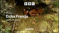 BBCBRIT - 09-08-2024 - Zapowiedzi, Identy, Reklamy