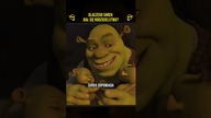 Dlaczego Shrek bał się zostać ojcem?