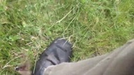 LiveLeak - What is this