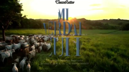 Mi verdad oculta 003 NAPISY PL