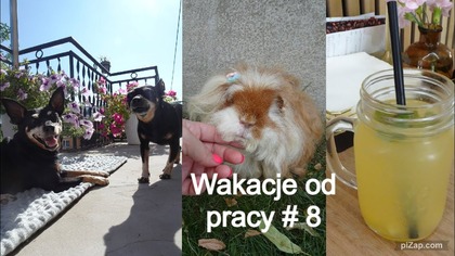 Domowy dzień na urlopie