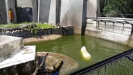 Warszawa zoo