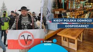 Czy Polska ma plan odmrażania biznesu? Czy w lutym dojdzie do poluzowania obostrzeń? - Studio Biznes