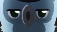 Nisekoi2x08 HD lektor