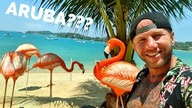 Kwarantanna (prawie) na ARUBIE z Flamingami