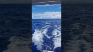 One Day in the Middle of the Ocean #shorts #Ocean #yacht #sailing