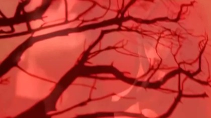 Danzig - On A Wicked Night (Official Video) (2010)