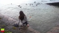 Win Fail Compilation 5