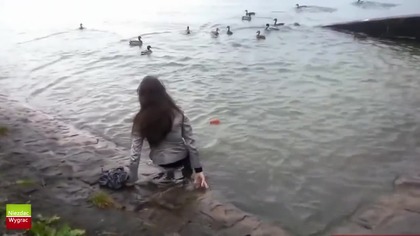 Win Fail Compilation 5