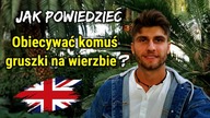 Jak powiedzieć: Obiecywać gruszki na wierzbie / złote góry / gwiazdkę z nieba - Zwroty Po Angielsku
