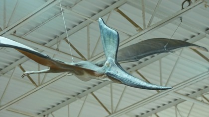 Marzenie Leonarda Sekrety latania - dokument lektor pl