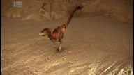 Dinozaury z Antypod&oacute;w (2016) [Lektor PL]