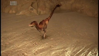 Dinozaury z Antypodów (2016) [Lektor PL]