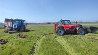 Rozwożenie kurzaka pod kukurydzę i zabieg T1 w pszenicy.