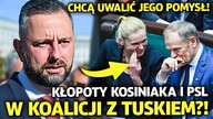 PSL I KOSINIAK-KAMYSZ POD OSTRZAŁEM KOALICJI! MINISTER NOWACKA OSTRO SKRYTYKOWAŁA ICH POMYSŁ!