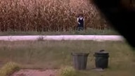 Dzieci Kukurydzy IV Children of the Corn IV The Gathering