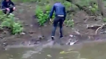 Tarzan