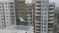 Dokarmianie mew (seagull feeding) 26. 11. 22