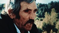 Magnaci i Czarodzieje CAŁY FILM