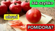 Jak szybko i łatwo obrać pomidora ze skórki? NAJLEPSZY SPOSÓB! 