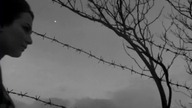 Złodziej brzoskwiń 1964 napisy pl