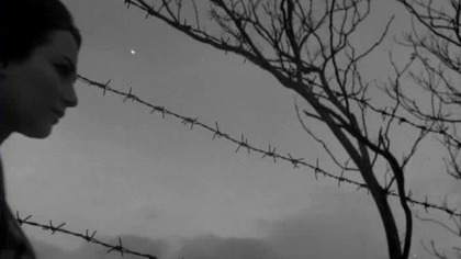 Złodziej brzoskwiń 1964 napisy pl