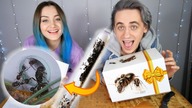 MAMY MRÓWKI !!!  *unboxing*