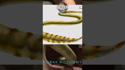 Przerażające istoty i potwory DATACRON #podcast #starwars #film #disney