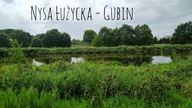KLASYCZNY FEEDER - Nysa Łużycka - Gubin.  Gdzie się podziały DUŻE RYBY ???