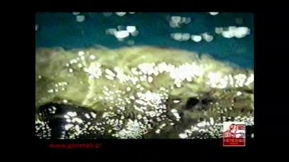 Niebezpieczny Związek TV 4.  VID-1697638849193