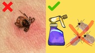 PLAGA KLESZCZY - Ochroń się tym domowym środkiem - PRZEPIS
