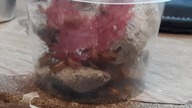 Feeding the cockroaches (food for my spiders needs food too) 