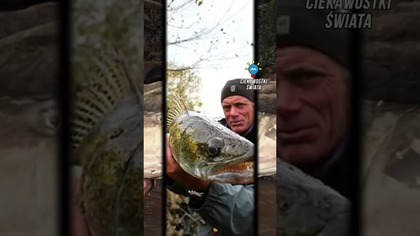 DLACZEGO NIE JEST JUŻ KRĘCONY PROGRAM RZECZNE POTWORY ?